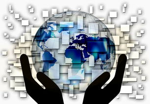 mk体育电脑版-全国电子竞技公开赛上海收官，全国电子竞技大赛官网2020