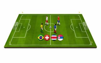 mk体育电脑版-全国轮椅篮球锦标赛圆满落幕，2020轮椅篮球