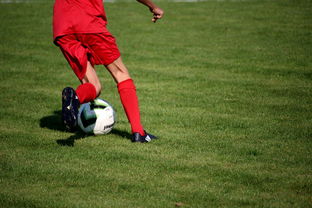 mk体育平台官网-CBA球队加强后勤保障体系优化训练和比赛准备，cba后备联赛